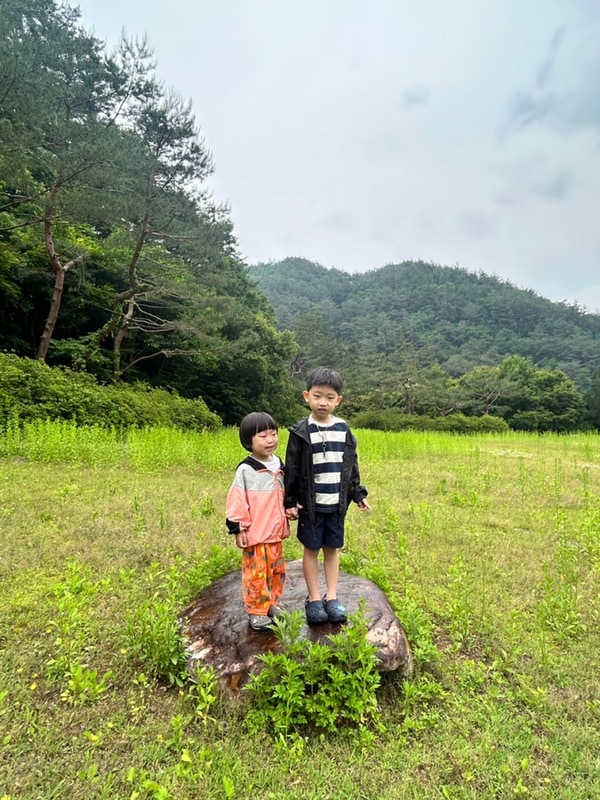 #24 영월 느티나무 캠핑장