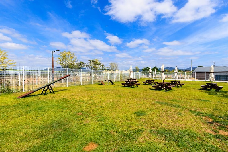 의성펫월드 오토캠핑장 시설 사진 22