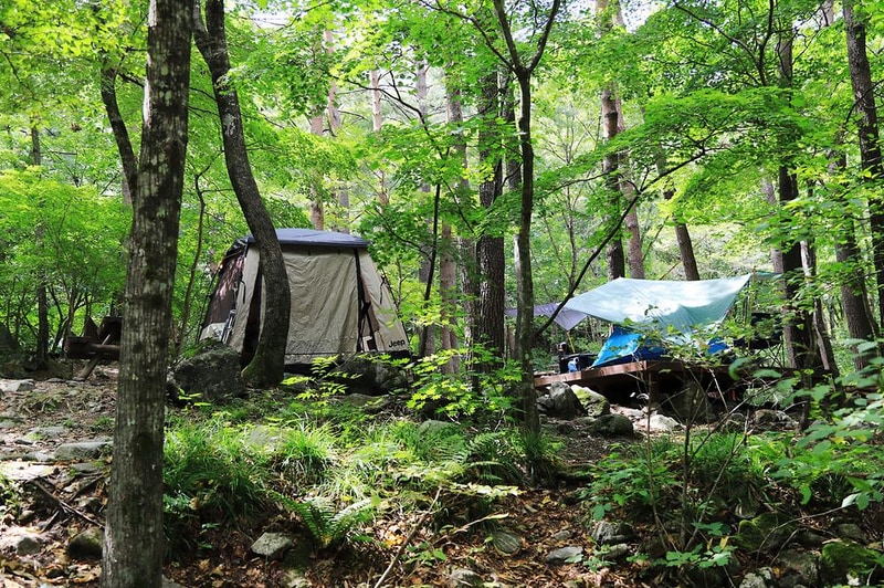 방태산 자연휴양림 캠핑장 시설 사진 6