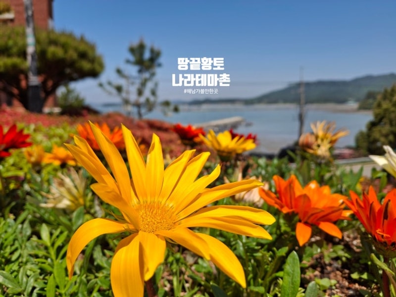 해남카라반 : 해남숙소 : 땅끝황토나라테마촌 구형 카라반 이용...