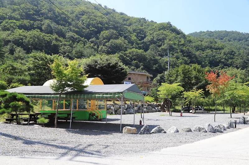 올리브 그린 펜션 글램핑 대표 사진