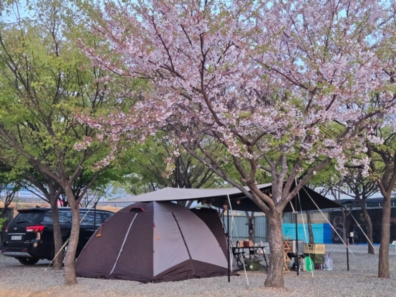 4월, 포항그린오토캠핑장