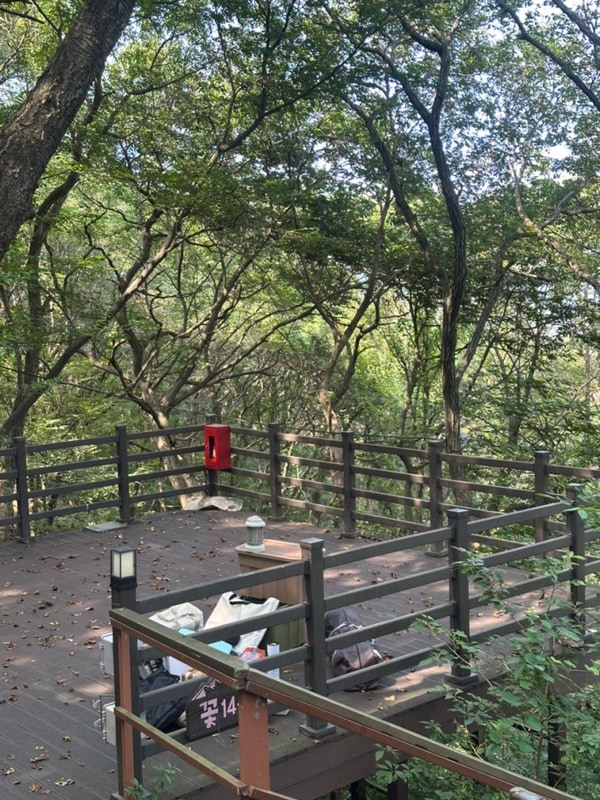 [김해] 신어산자연숲캠핑장 꽃14동 이용후기, 여름캠핑