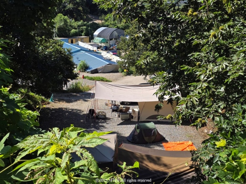 서울 근교 애견동반 캠핑장 파주 따봉캠핑장 내돈내산 후기