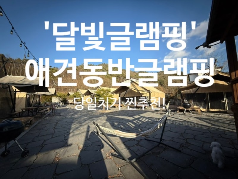 [내돈내산] 포천 애견동반 오프리쉬 강아지운동장! '달빛글램핑장'
