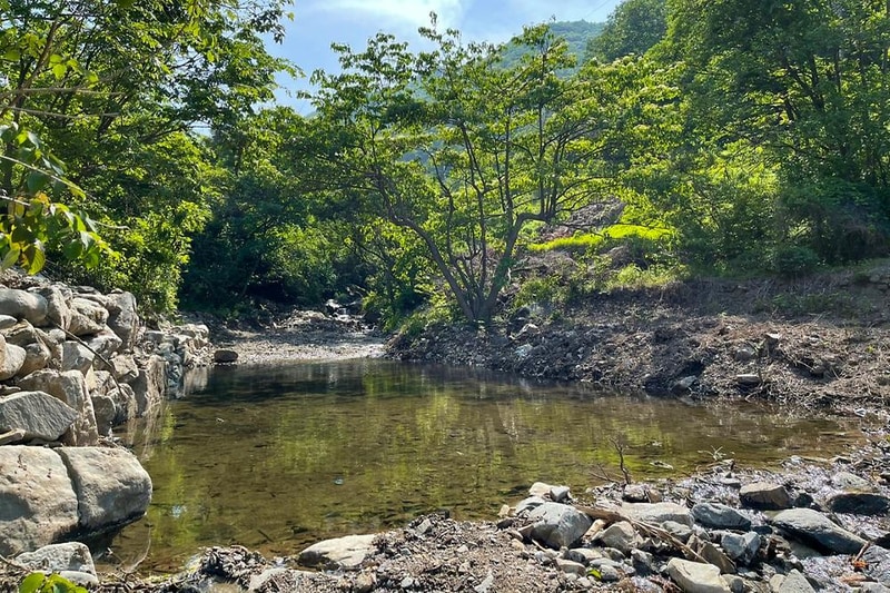 천안 트리하우스 시설 사진 6