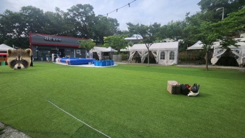 [화성] - 라온캠프닉 완전추천!(주차, 애견동반)