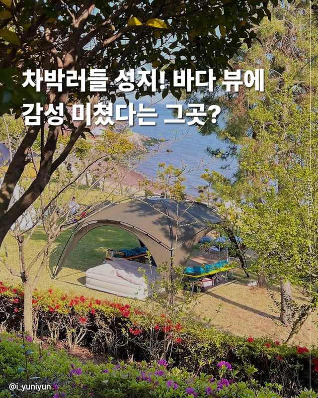 전남 애견동반 캠핑장 보성 지중해 야영장 사이트 추천