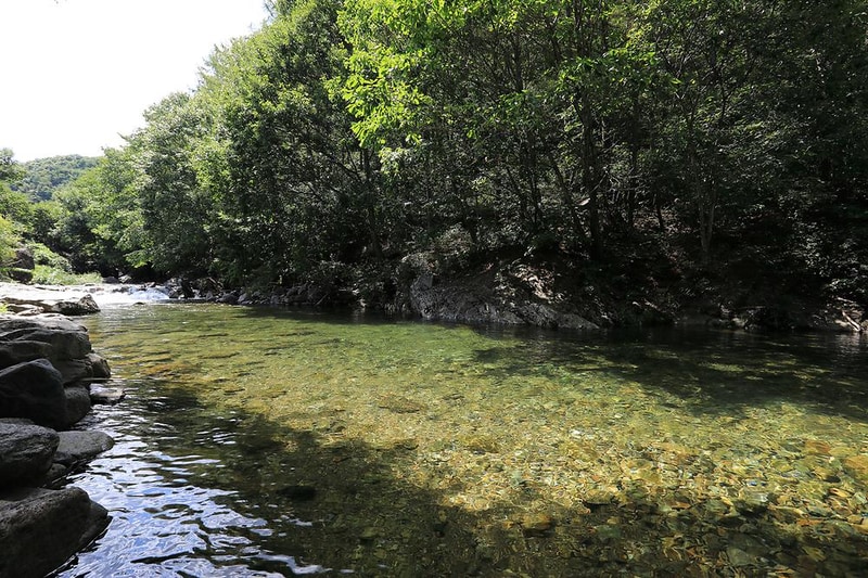 물한계곡소나무펜션 시설 사진 9