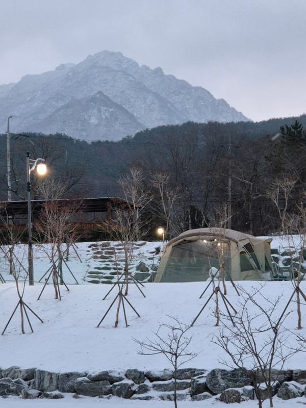 6번째 캠핑 [성주가야산오토캠핑장:A4 사이트, 설중캠핑]