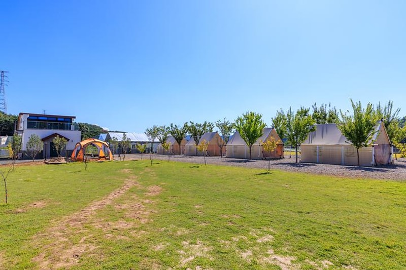 달문관광 농원 대표 사진