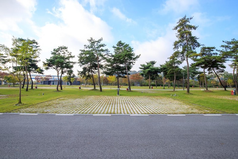 충주 목계솔밭 캠핑장 시설 사진 5