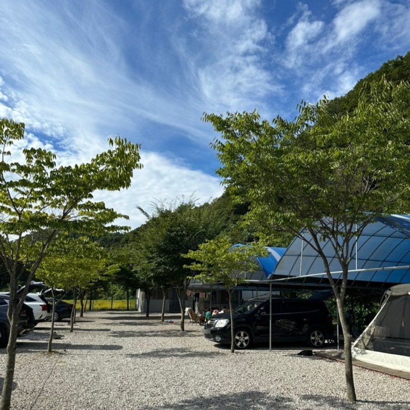 철원캠핑장 밤개울캠핑장 강원도계곡캠핑장 별타프4번 예약링크