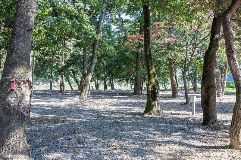 숲속의하모니 시설 사진 12