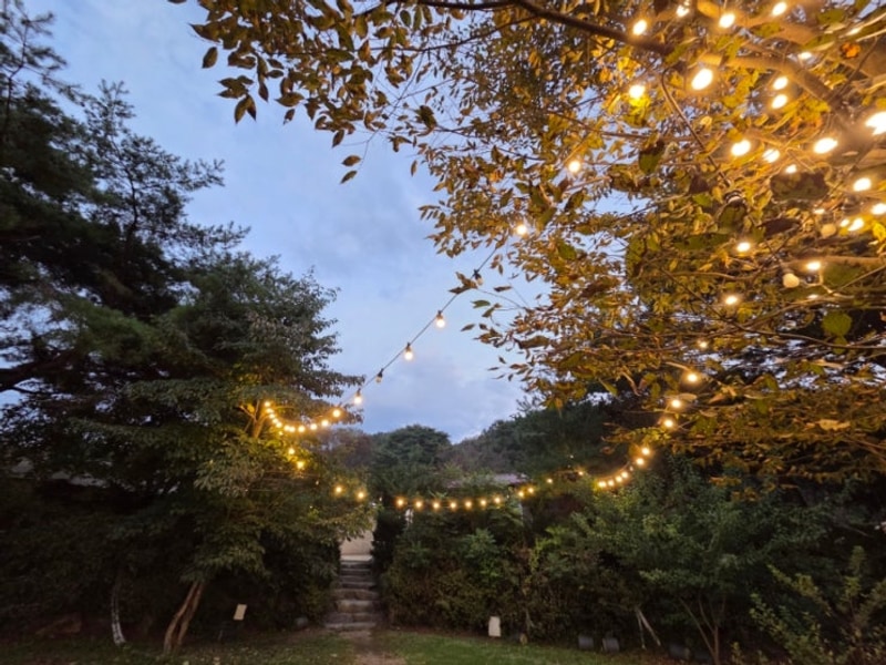 포천 백운계곡캠핑장  프리미엄동1박