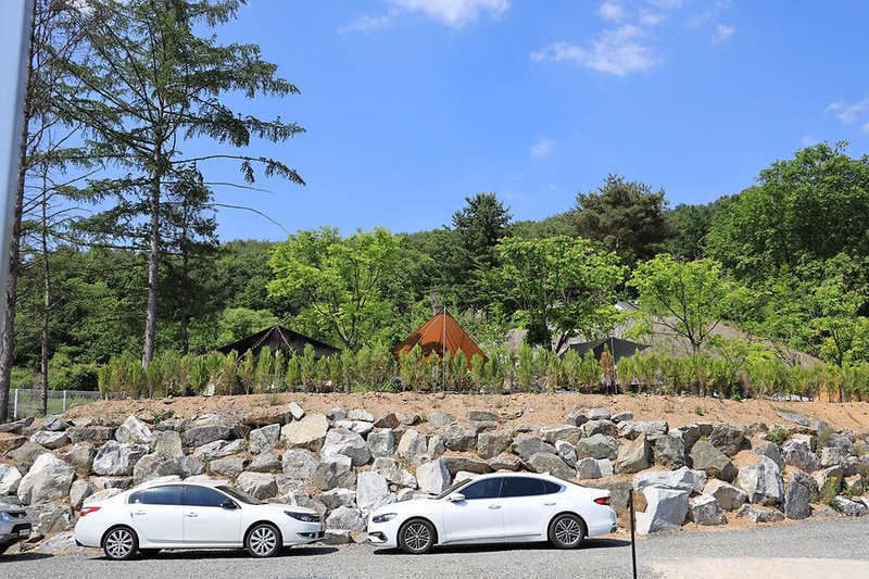 디데이펜션&캠핑 시설 사진 13