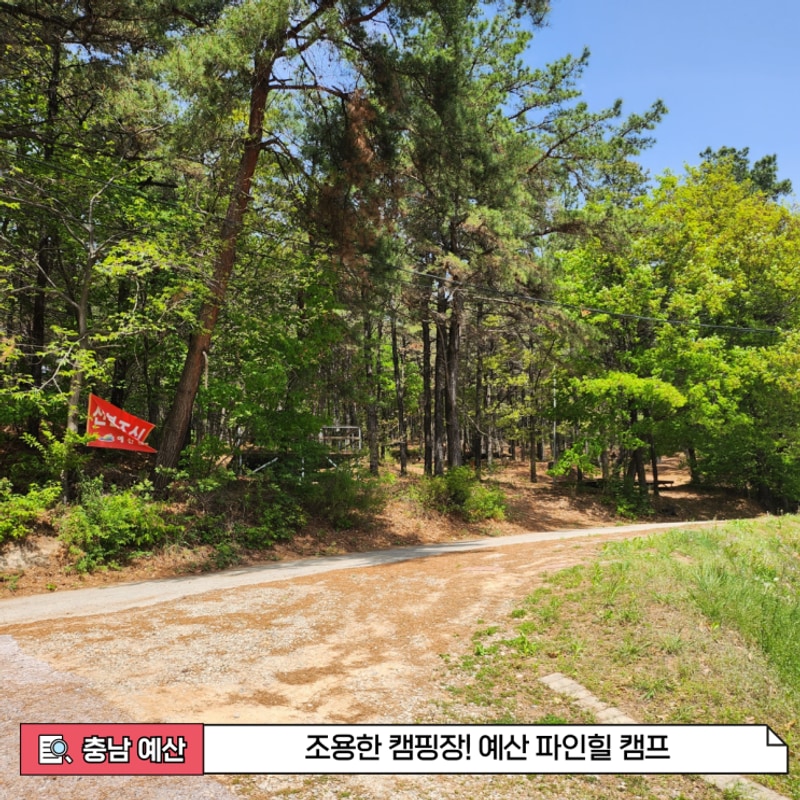 [충남 예산] 조용한 캠핑장! 예산 파인힐 캠프