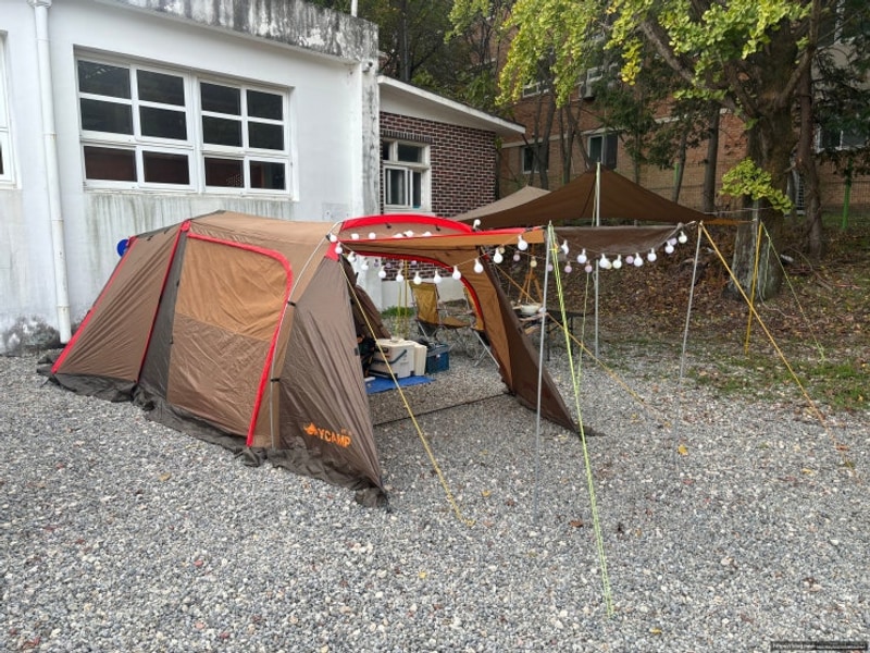 장성 파랑새캠핑장 폐교를 이용한 캠핑장 후기