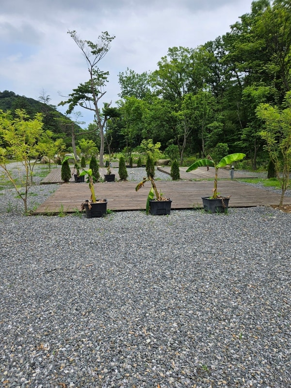 광주근교 캠핑장 숲속뷰,계곡이 있는 담양 삼인산밸리캠핑장