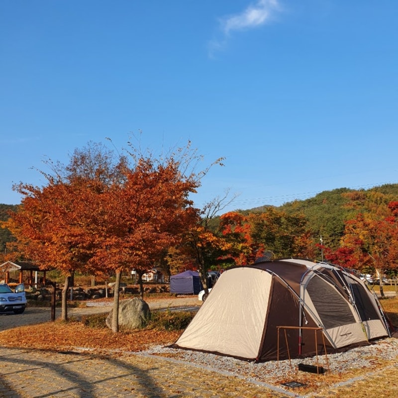 함양 오토캠핑장 농월정오토캠핑장 시설좋고 가성비 좋은곳