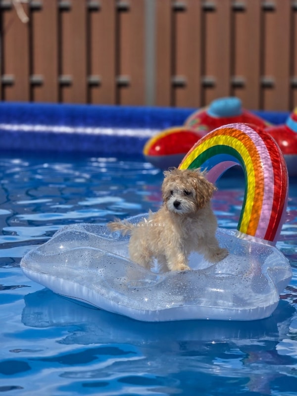 할로윈 캠핑 임실 오수의견 국민여가 캠핑장