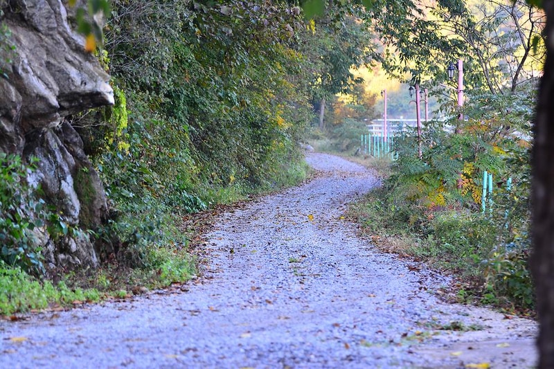 하늘숲글램핑 파크 시설 사진 2