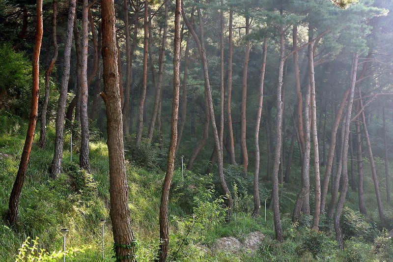 휴식관광농원캠핑장 시설 사진 8