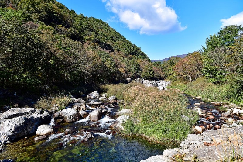 백자동 캠핑장 시설 사진 6