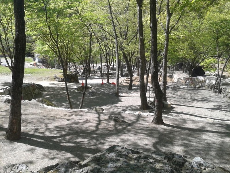 빛 생명 숲 사지목 시설 사진 1