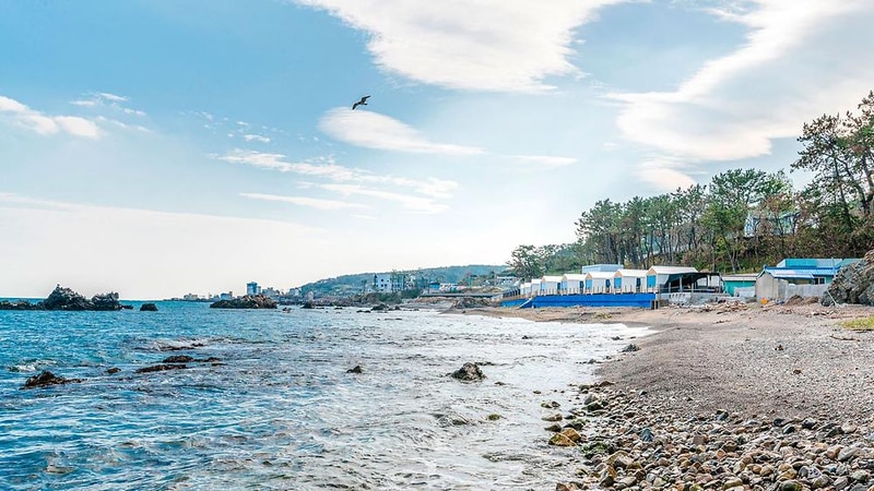 블루밍 시설 사진 7