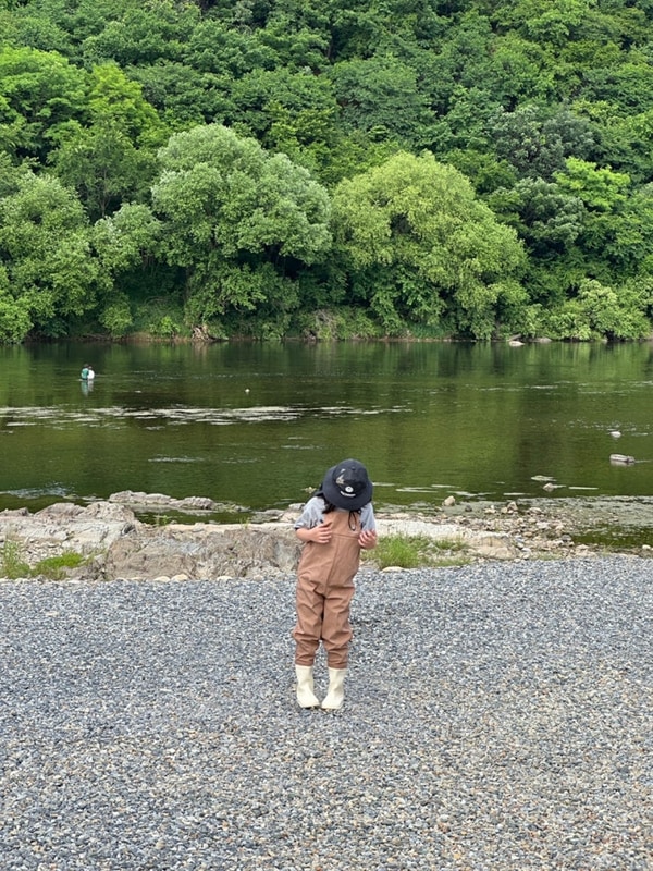강원도 영월 와룡천 캠핑장 추천 자연 힐링 캠핑 아이랑...