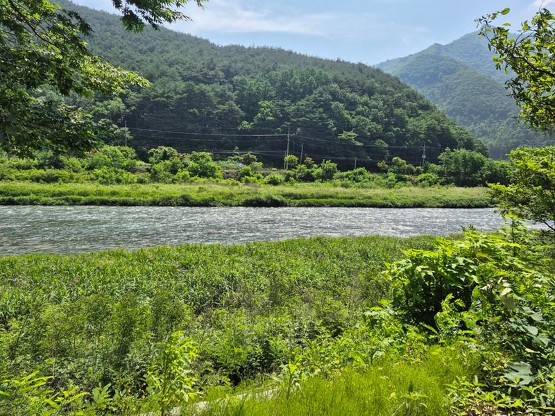 파인트리캠핑장 시설 사진 19