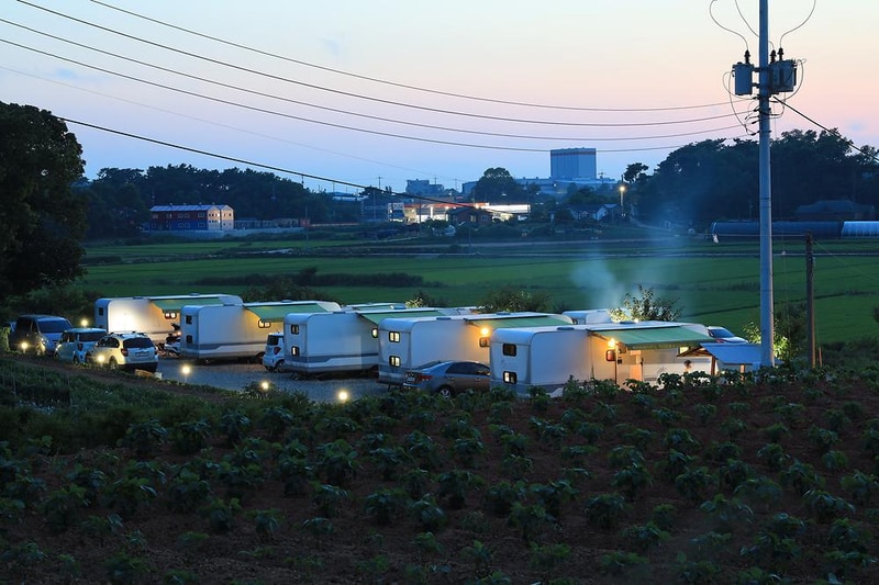 클럽레스피아in삽교바다공원 시설 사진 12