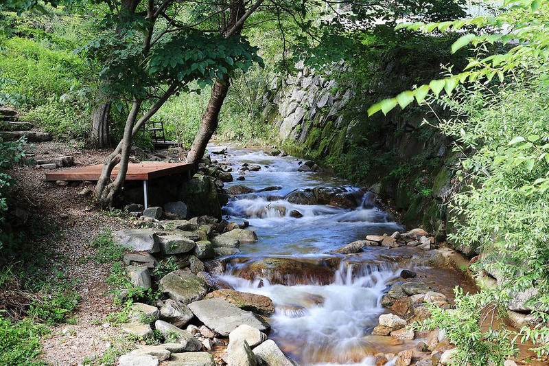 스탈릿캠핑펜션 시설 사진 14