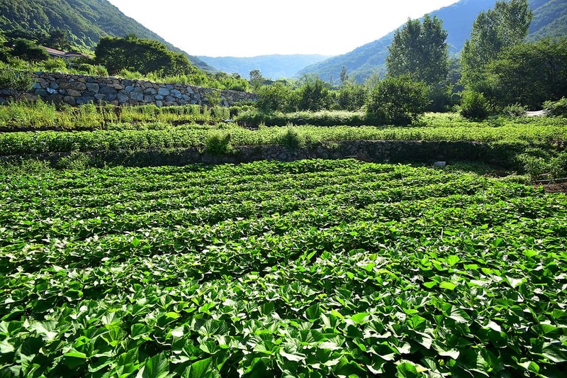 부재산방 캠핑장 시설 사진 9