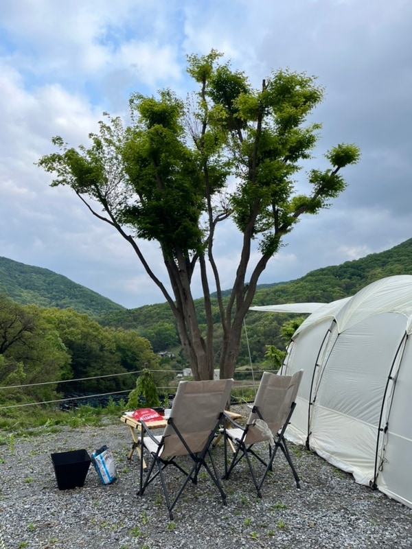 [캠핑] 서울 근교 캠핑장 구릉지 캠핑장 후기 / 경기도 여주 캠핑장
