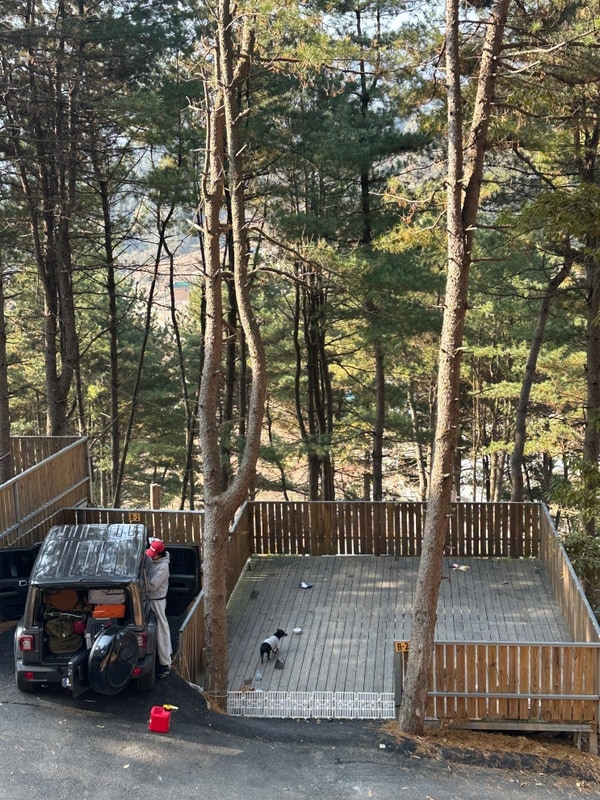 가평 선택적고립캠핑장 B-2 사이트 후기 + 울타리