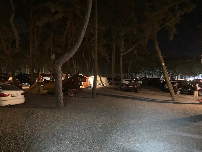 솔비치캠핑장 시설 사진 10