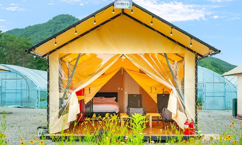 (주)더그린포천 농업회사법인(민트글램핑) 시설 사진 9