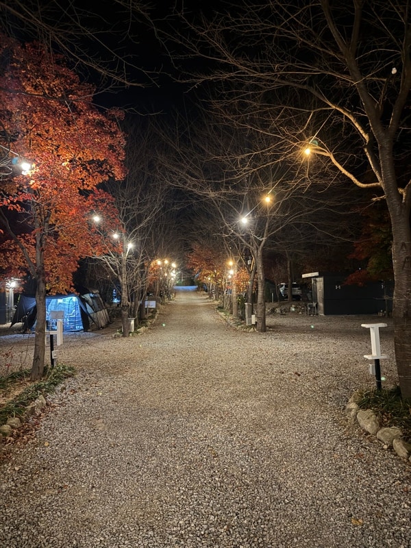 [캠핑] 3번째 캠핑 / 경남 산청 캠핑장 / 더예감스테이캠핑장...