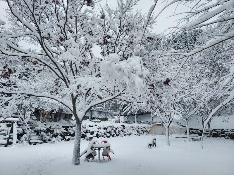횡성산울림오토캠핑장 시설 사진 23