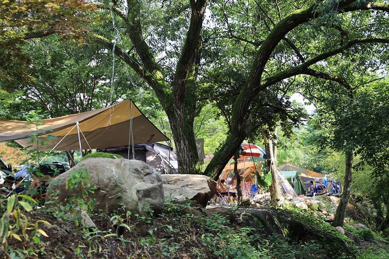 백년펜션 야영장 시설 사진 8