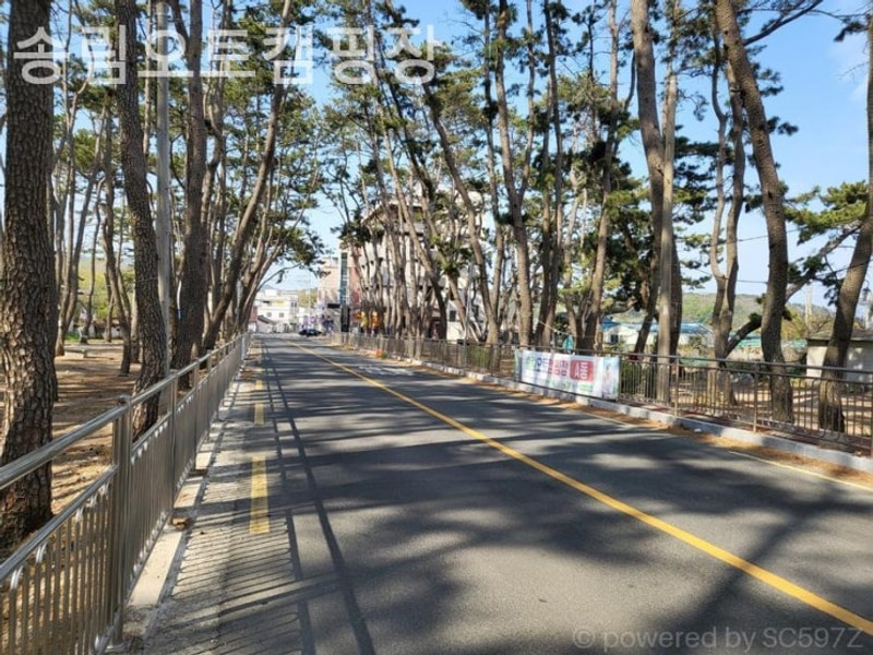 경주 캠핑장 송림오토캠핑장 친구들과 만드는 즐거운 추억