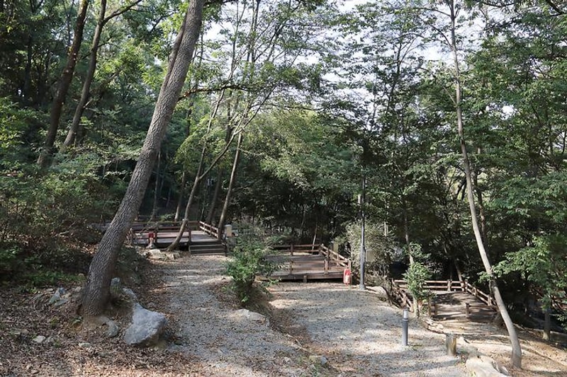 태학산 자연휴양림 오토캠핑장 대표 사진