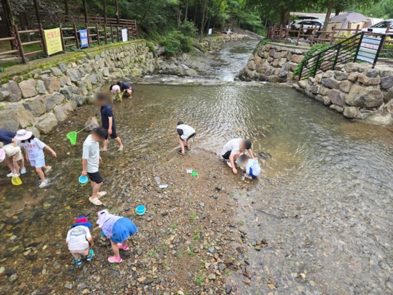 대구 캠핑장 추천 진밭골 야영장 당일치기 계곡 물놀이 캠프닉