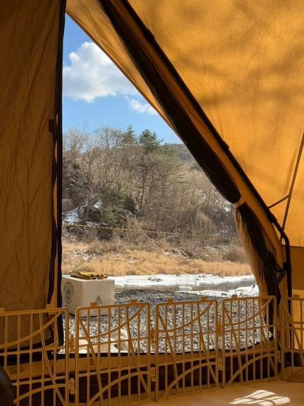 [애견동반] 힐링 가평 오토캠핑장 A6 / 코베아 레트로 파빌리온