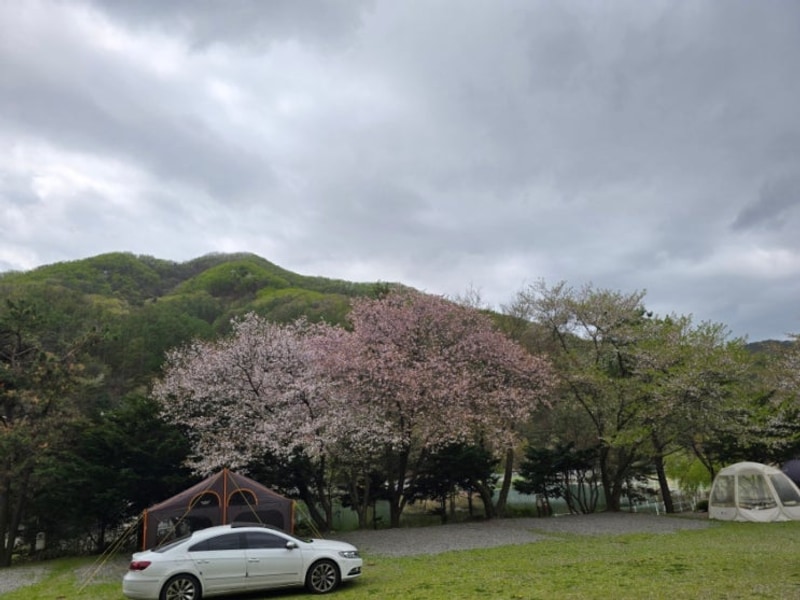키즈 캠핑 / 용인 문수산 캠핑장 / 용인 캠핑장 추천 / 용인...