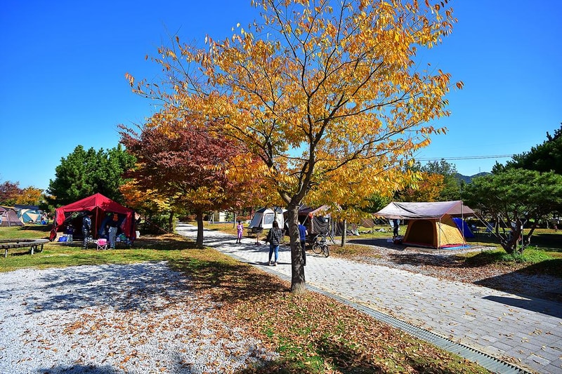 웅포관광지 캠핑장 시설 사진 7