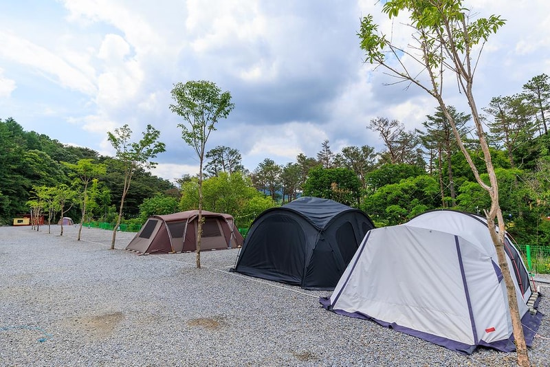 금계관광농원 시설 사진 14