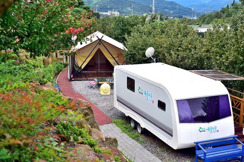 돌풀마루 대표 사진